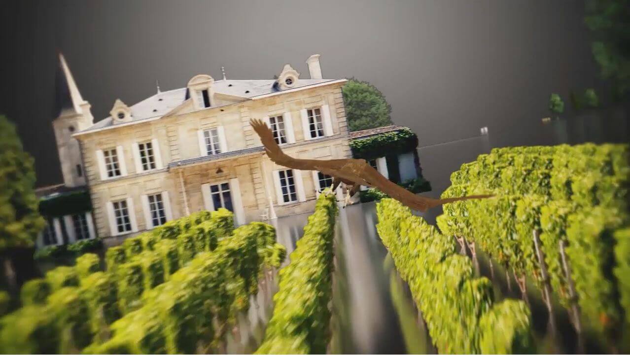 Film d'animation Ginestet Bordeaux Beview